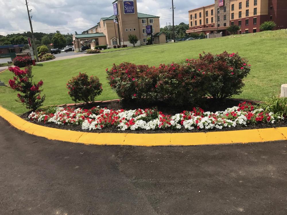 Hotel image 9