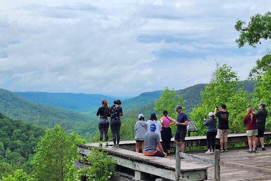 Tour image 11